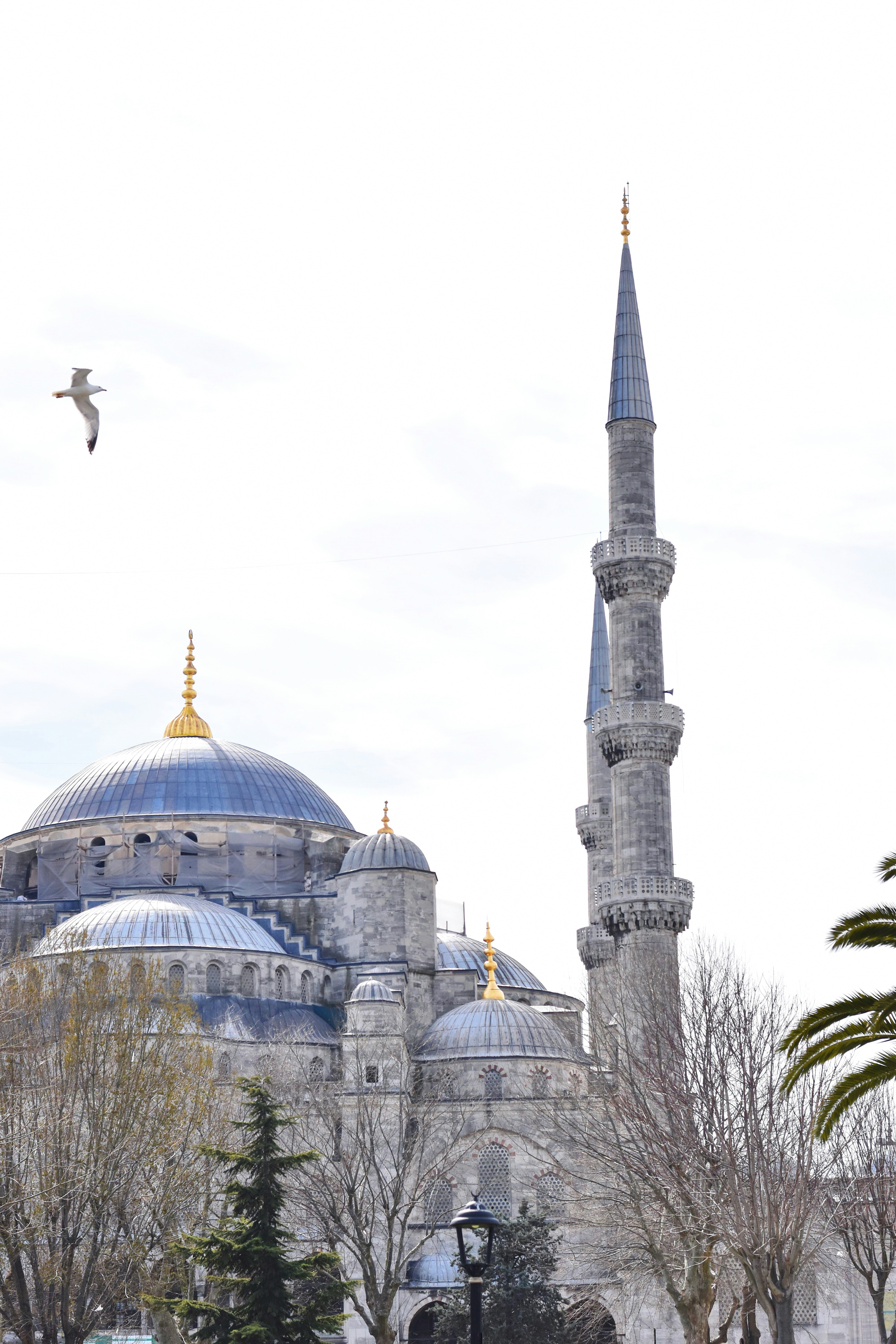 Ortakoy Mosque